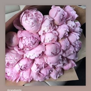 Meet your Posher, Julieta